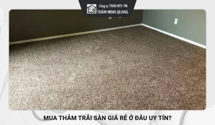 mua tham trai san gia re 2 11zon 8